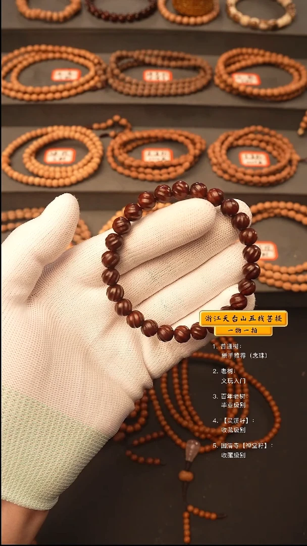 吊坠五线菩提手串