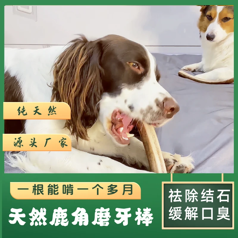 贝喜旺天然鹿角磨牙棒狗洁齿骨头咬胶幼犬成犬补钙健骨小型犬