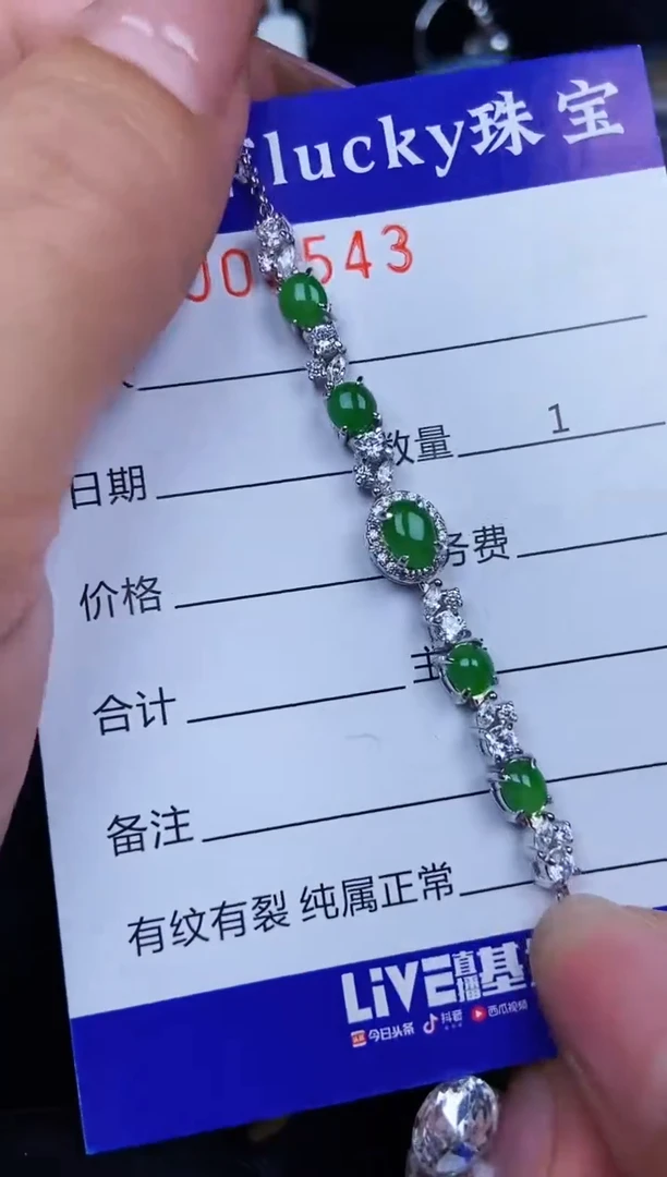 翡翠银S925镶嵌颈饰0543