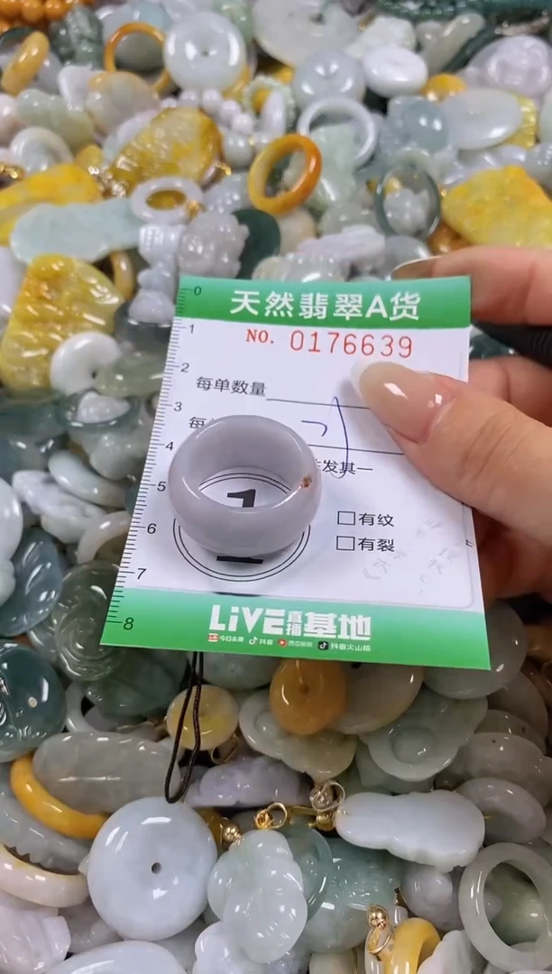 翡翠未镶嵌颈饰闪购0176639