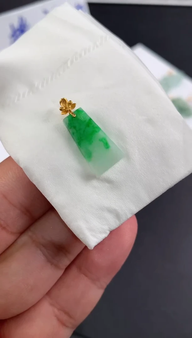 颈饰18K金镶嵌翡翠芝**️翡翠