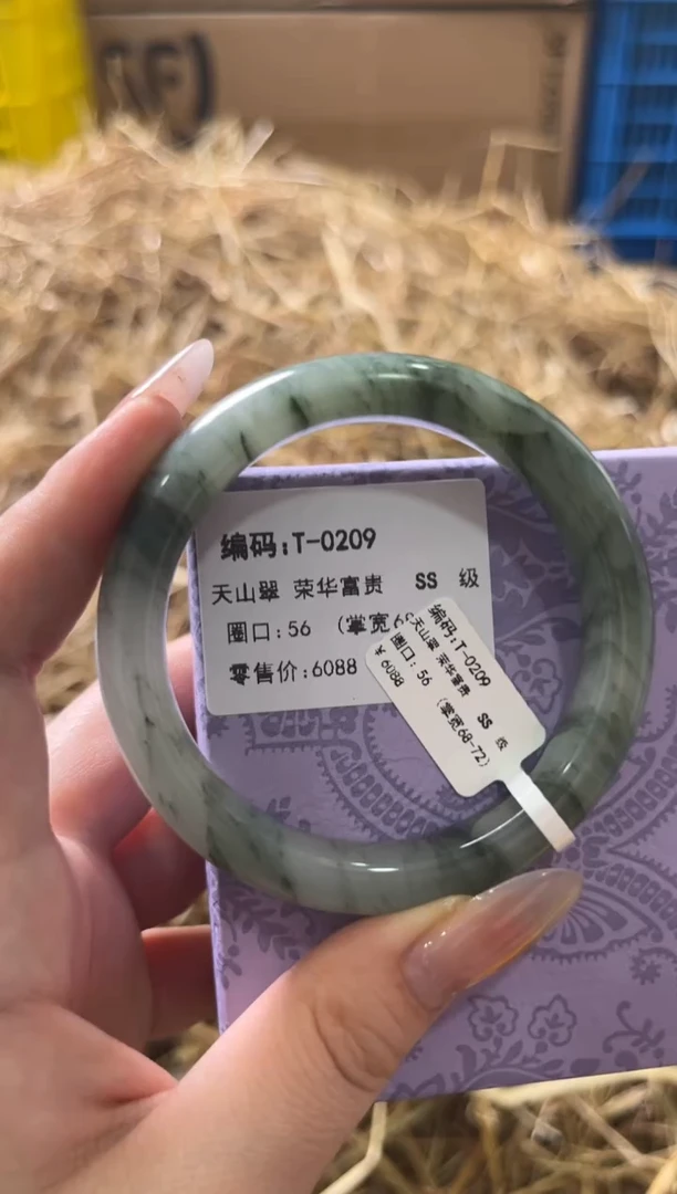 未镶嵌手镯石英质玉T-0209