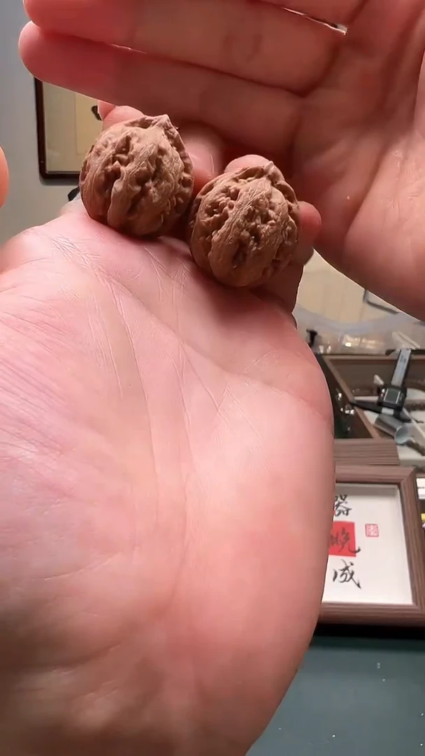 把件文玩核桃28mm左右小粗筋八爪鱼小手捻