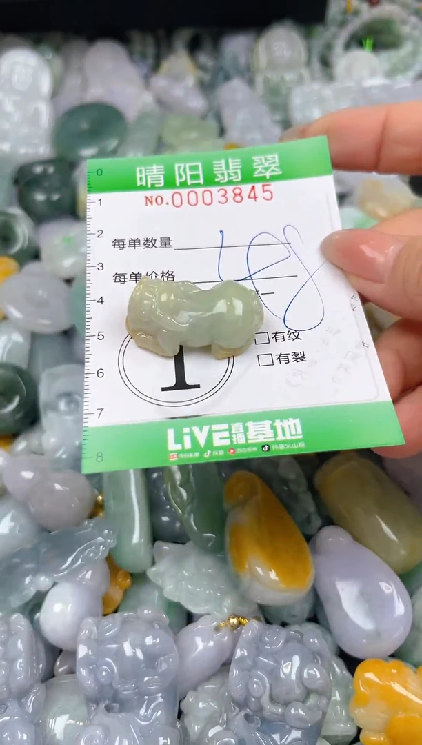 翡翠未镶嵌颈饰闪购0003845