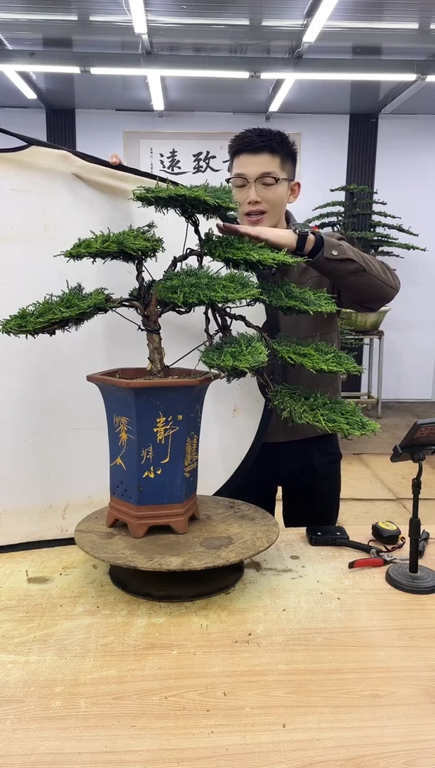 无花朵郭*平0000000000000000