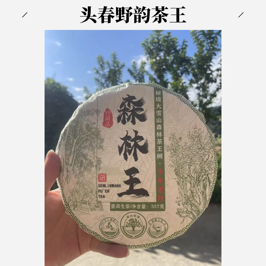 勐库大雪山（拍2发3）森林茶王树 2025年头春  森林野韵357g饼