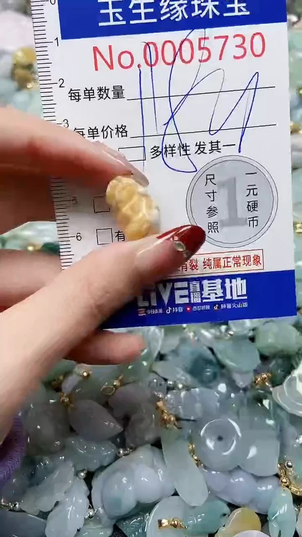 【闪购商品】翡翠颈饰未镶嵌闪购00005730