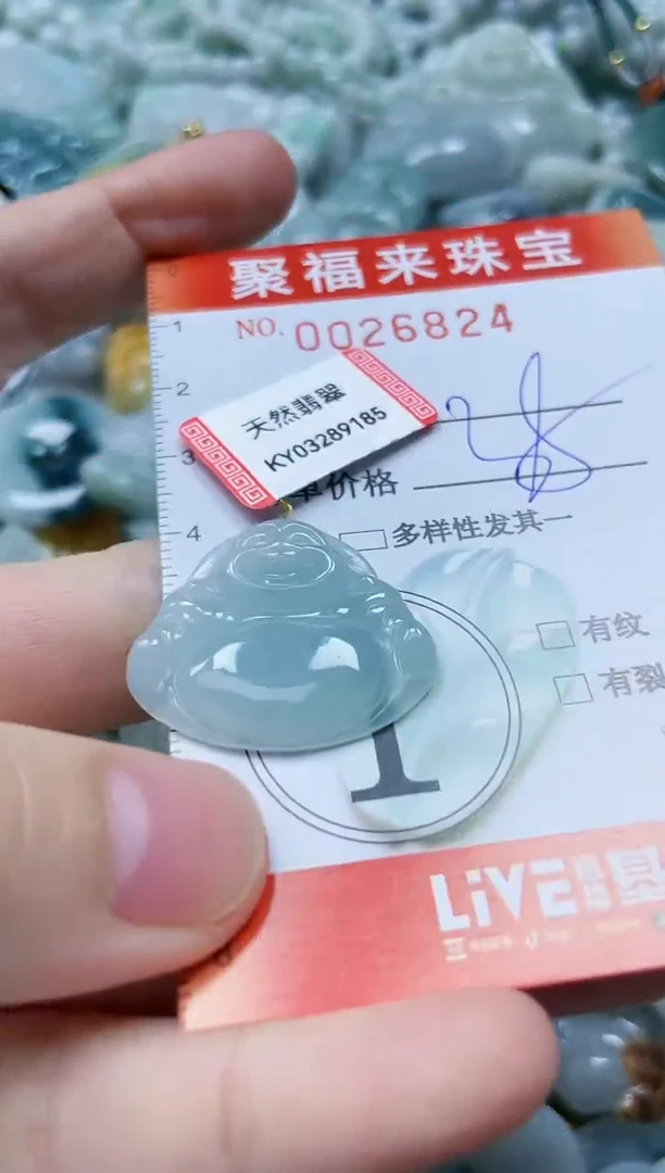 【闪购商品】翡翠颈饰未镶嵌闪购0026824