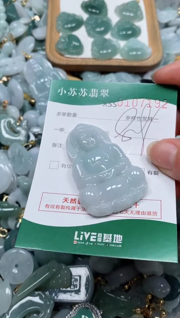 【闪购商品】翡翠颈饰未镶嵌闪购商品0107192