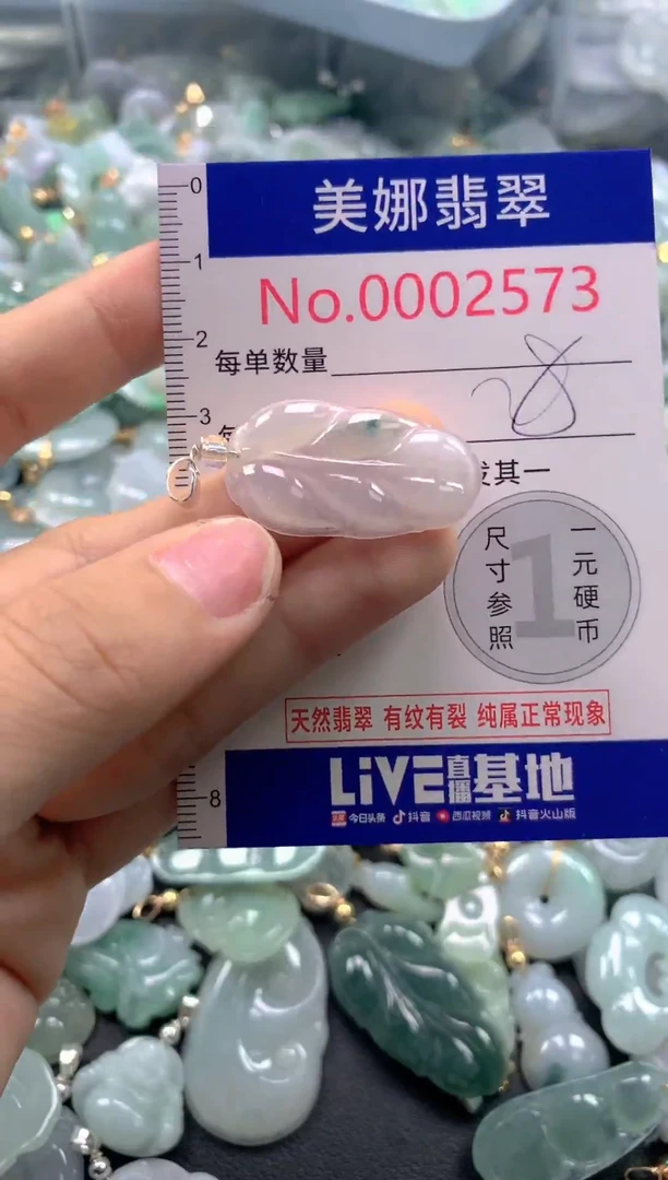 颈饰未镶嵌翡翠2573