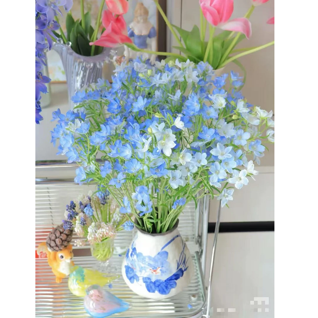 小飞燕鲜花（爆瓶/耐养）