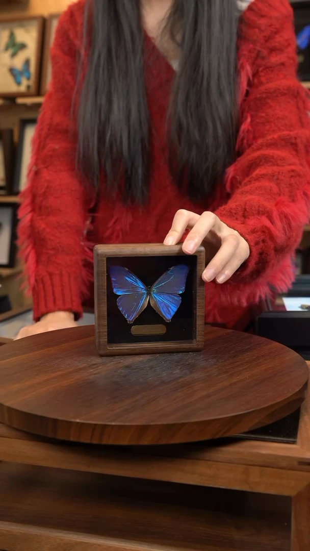 小蓝闪蝶胡桃木翻盖款