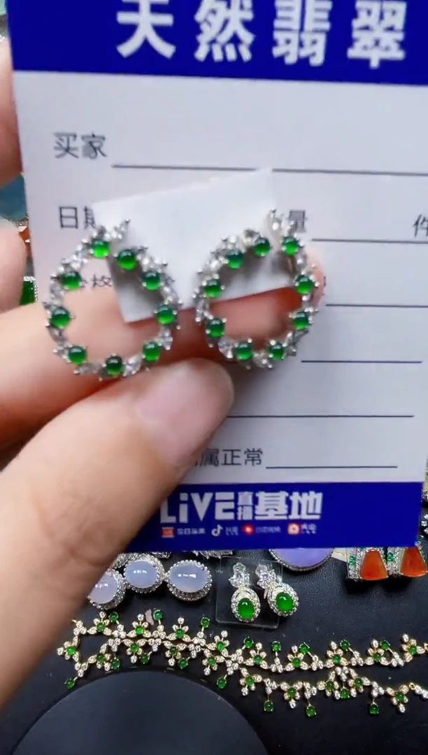 银S925镶嵌翡翠耳饰173