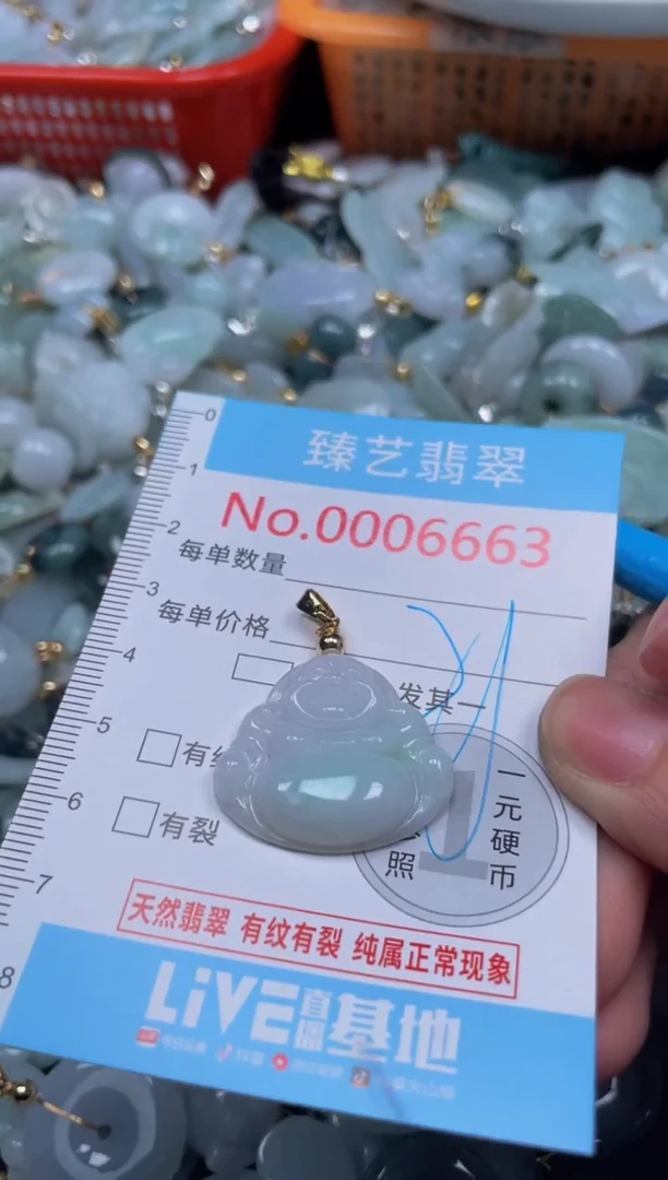 颈饰未镶嵌翡翠6663