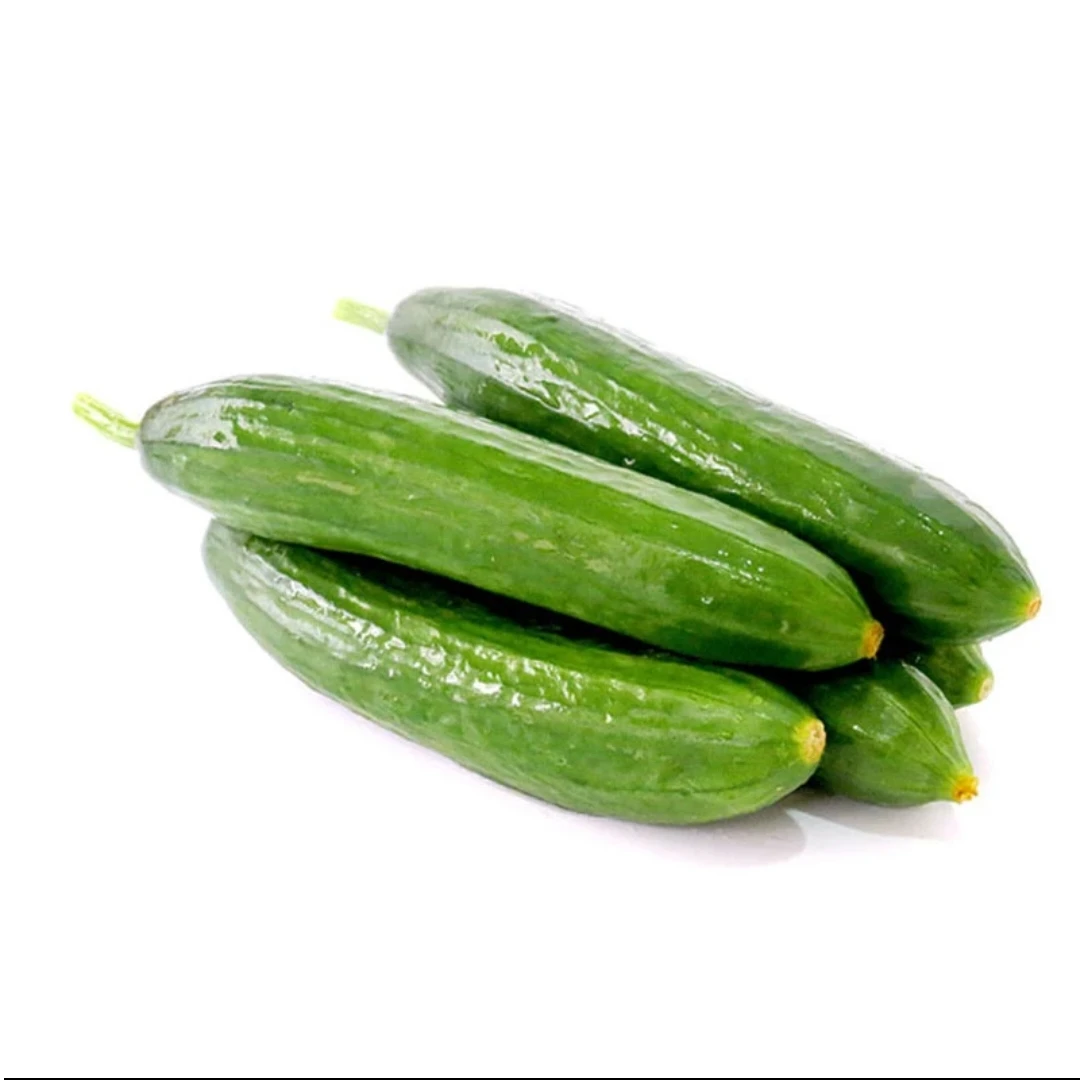 小青瓜  500g/份小青瓜