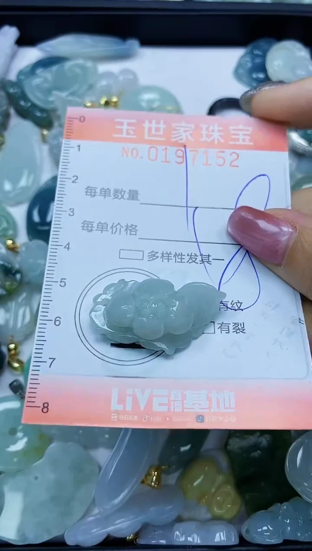 【闪购商品】翡翠颈饰未镶嵌闪购0197152