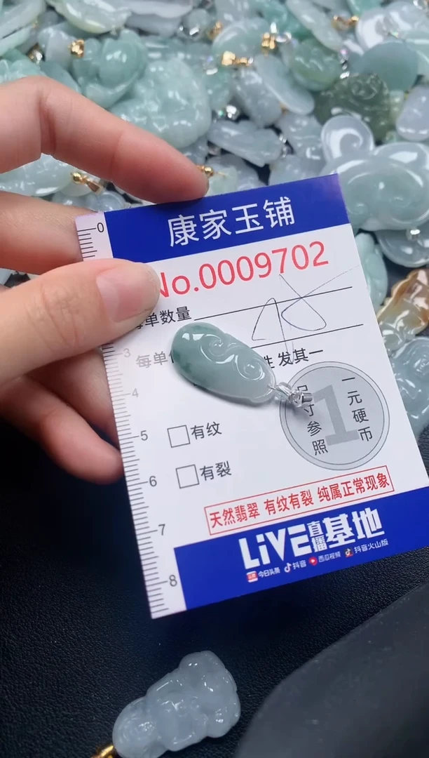 颈饰未镶嵌翡翠9702