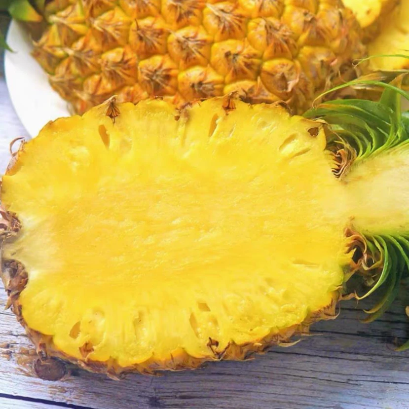 正宗海南金钻凤梨树上熟新鲜水果产地直发现摘金钻17号手撕凤梨