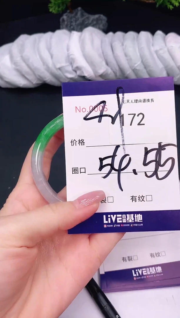 未镶嵌手镯翡翠172