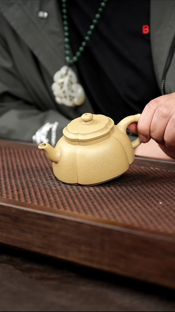 茶壶紫砂本绿秋海棠