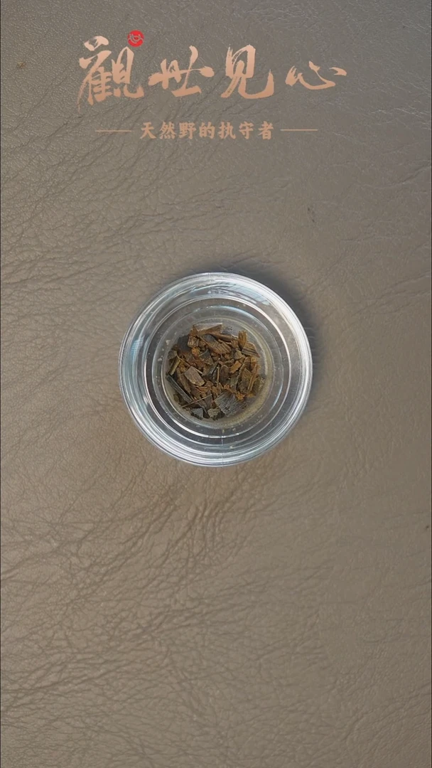 沉香沉香碎屑密支那碎料沉水  1g