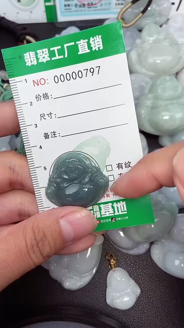 颈饰未镶嵌翡翠缅甸天然翡翠拍一发一0797