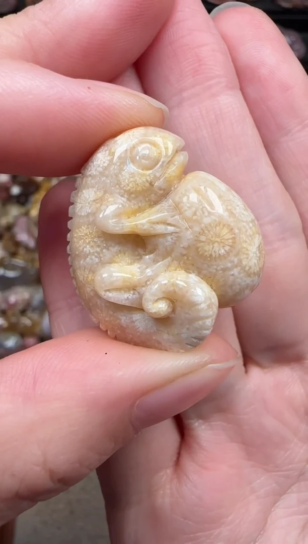 颈饰未镶嵌硅化珊瑚（珊瑚玉）396