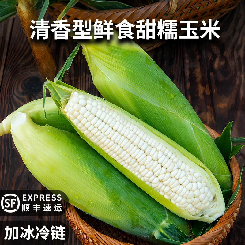 【赵氏农场】新鲜现摘白甜糯玉米代餐粗粮白糯带皮应季原产地发
