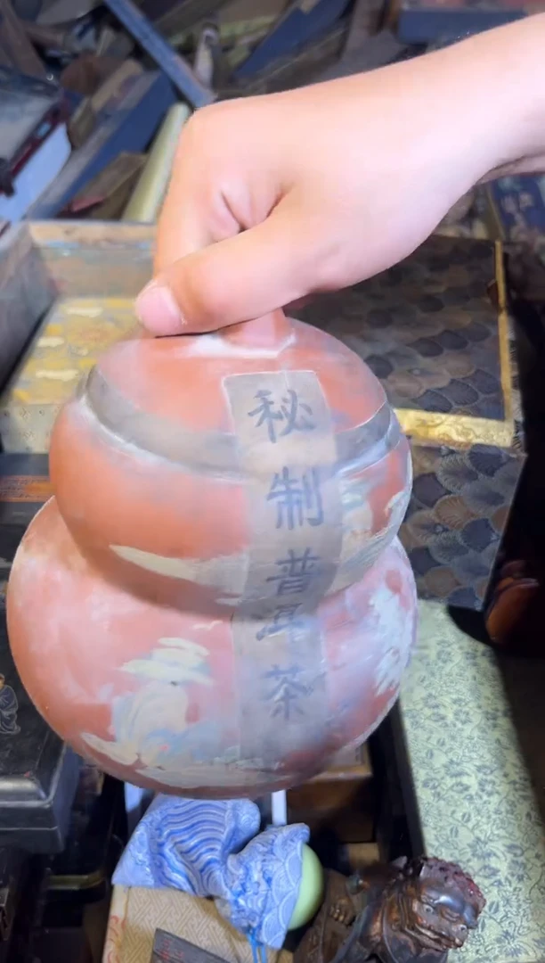 黄杨木1111111111111111111