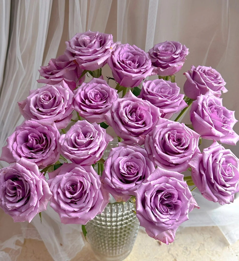 紫霞仙子玫瑰10支+紫罗兰+翠珠+配草