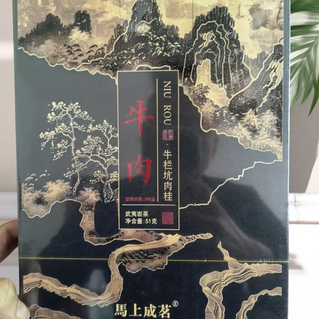 福建武夷山岩茶/016牛肉  牛栏坑肉桂  武夷岩茶大红袍乌龙茶