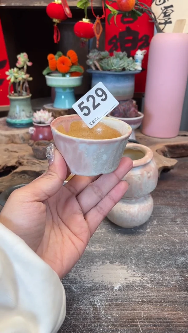 【闪购商品】摆件529知木小芳花盆