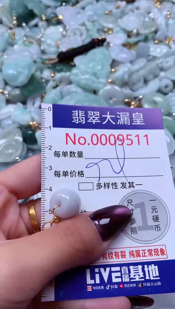 颈饰未镶嵌翡翠9511