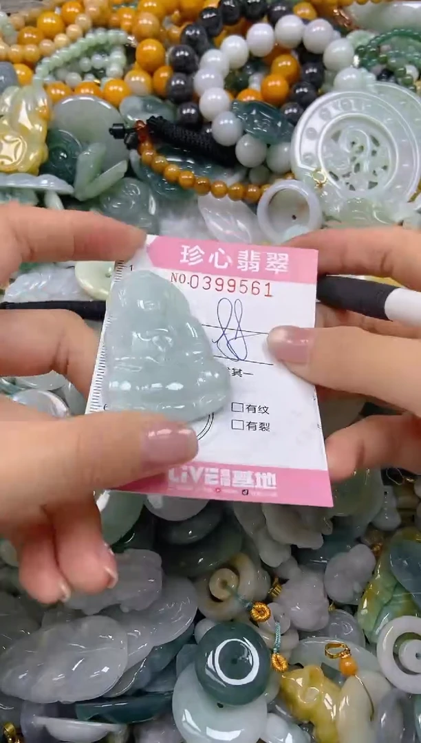 颈饰未镶嵌翡翠闪购0399561