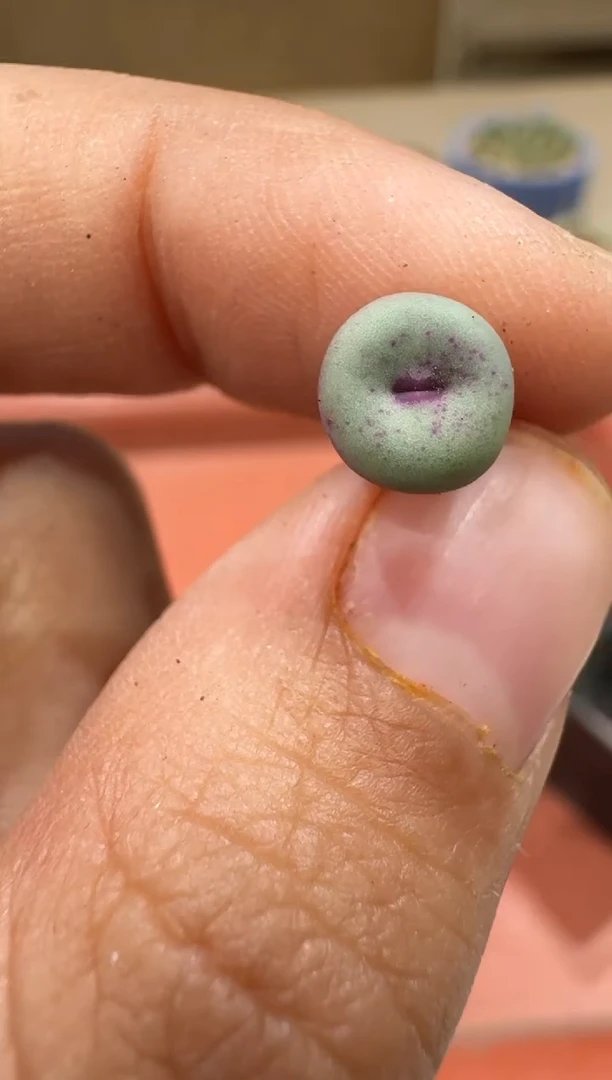 14-3多肉植物肉锥一颗