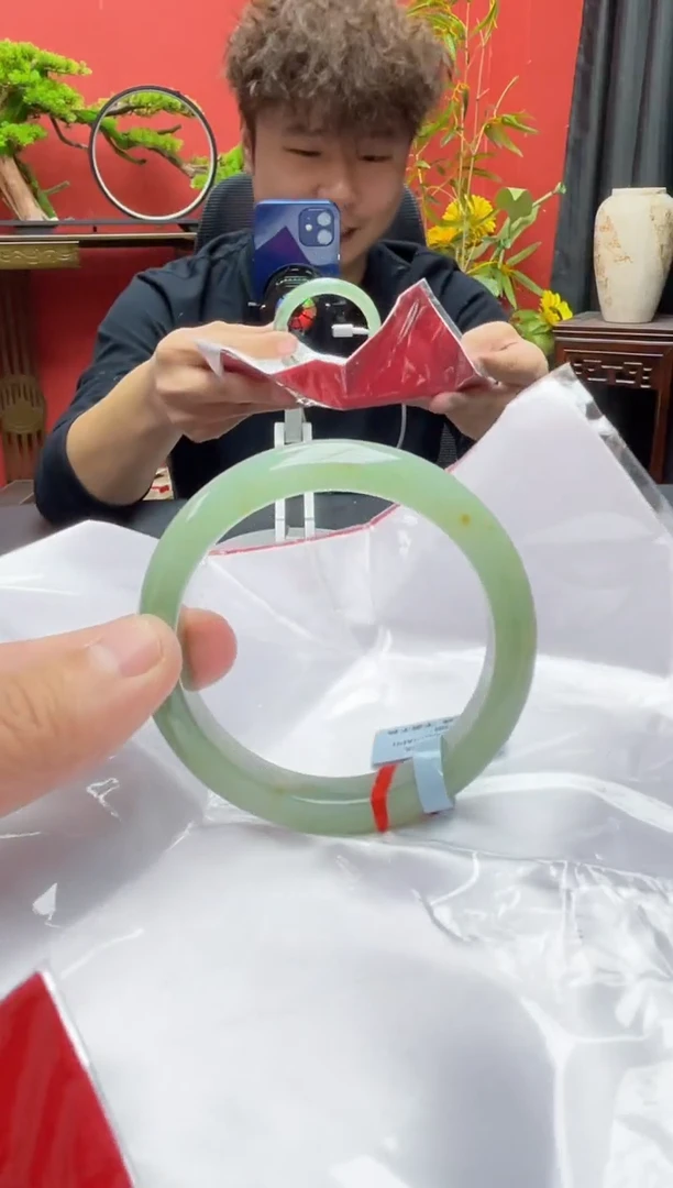 未镶嵌手镯翡翠6