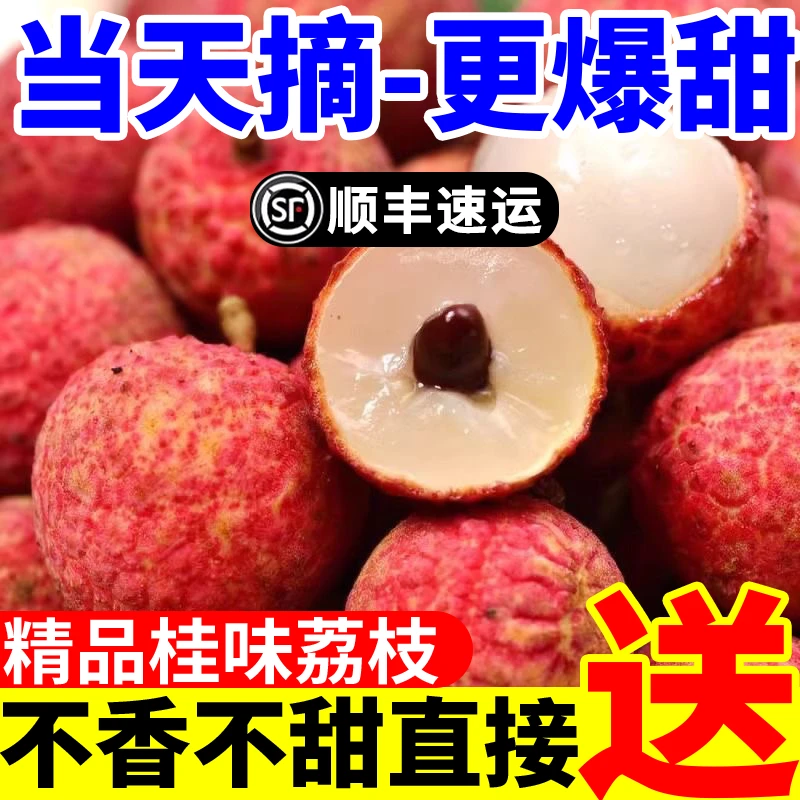 【顺丰冷链】桂味荔枝新鲜桂味鲜荔当季桂味黑叶荔枝产地直销水果