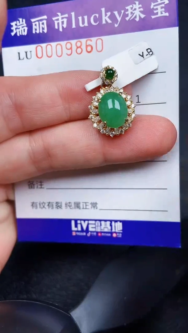 翡翠银S925镶嵌颈饰9860