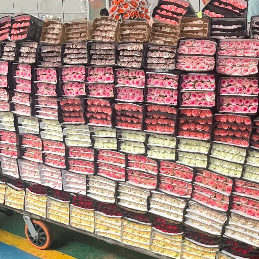 【花店/地摊经济 专拍】适合批发 专拍100枝链接