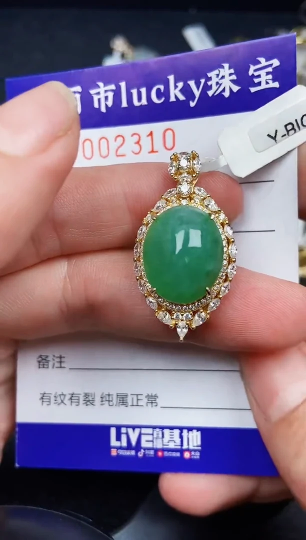 翡翠银S925镶嵌颈饰2310