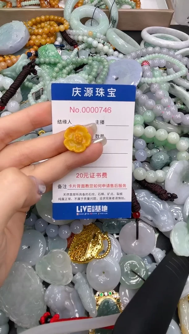 未镶嵌挂件翡翠0164