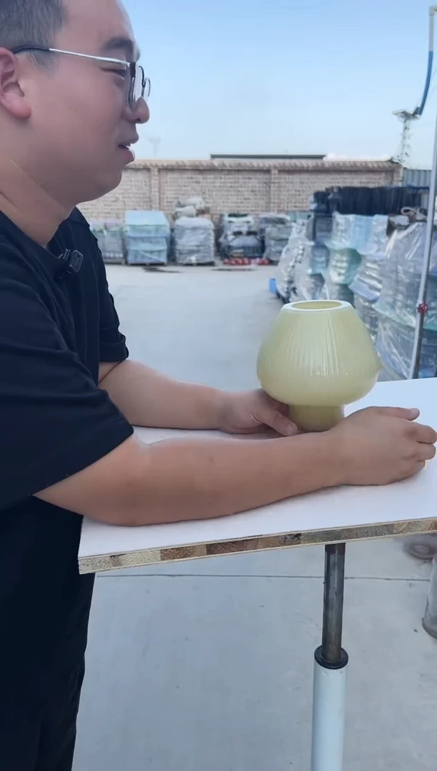 花瓶客厅餐桌插花装饰好物