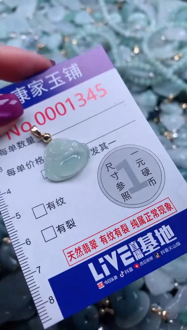 颈饰未镶嵌翡翠1345