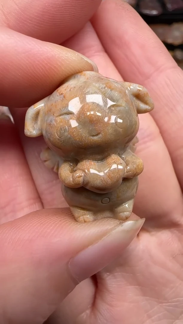 硅化珊瑚（珊瑚玉）未镶嵌颈饰309