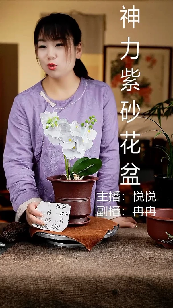 紫砂花盆花卉工艺5436+z