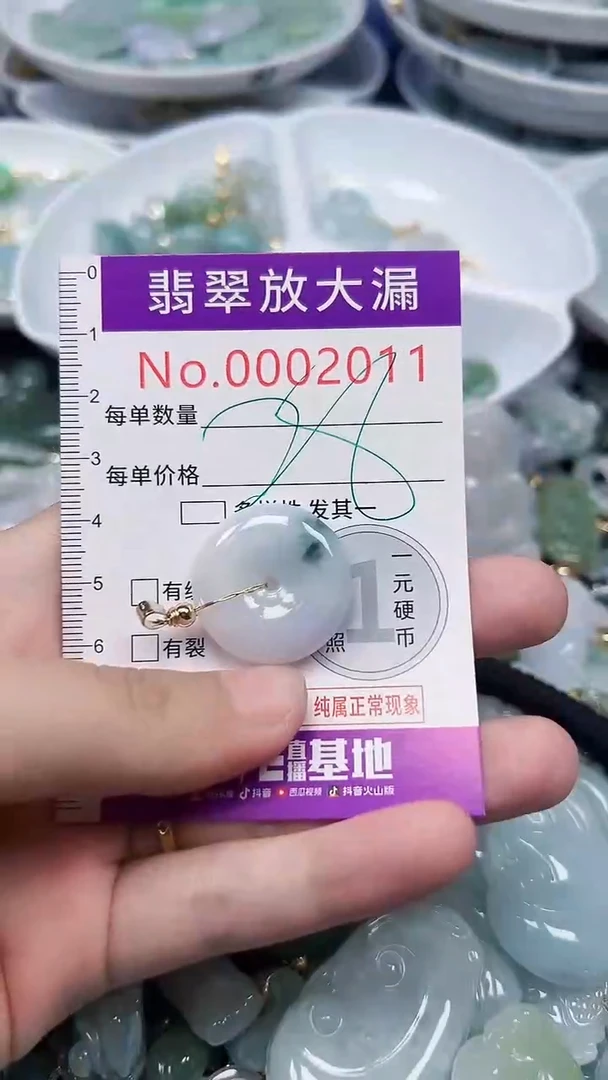 颈饰未镶嵌翡翠2011