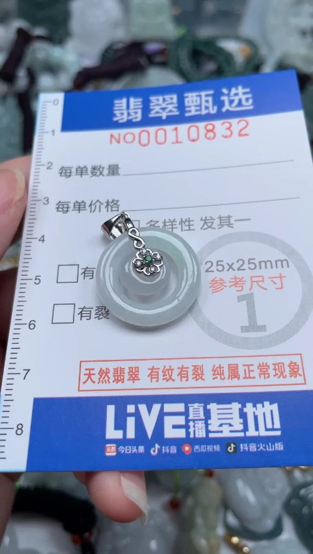 颈饰未镶嵌翡翠10832