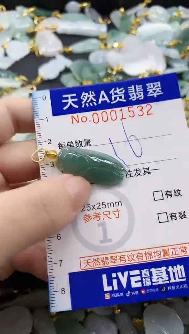 颈饰未镶嵌翡翠天然A货翡翠