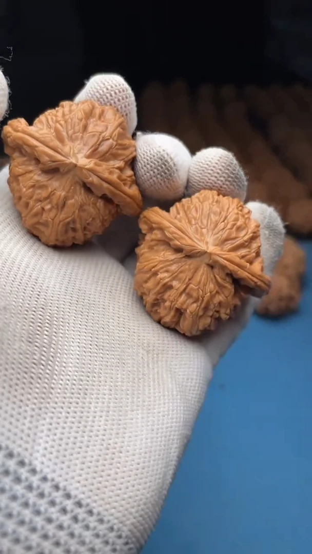 桃核把件a21  白狮子 41.5尺