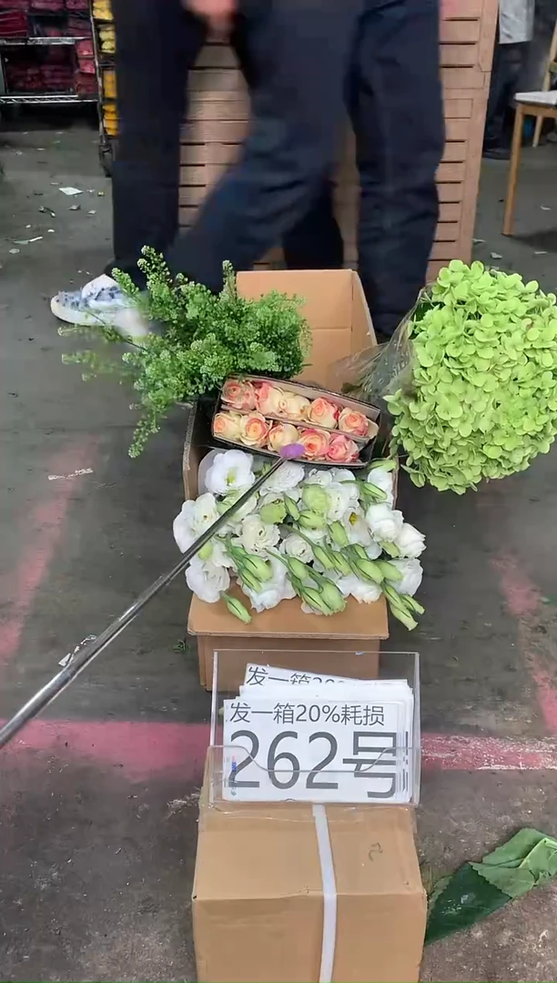 262号♥含20%耗损发一箱